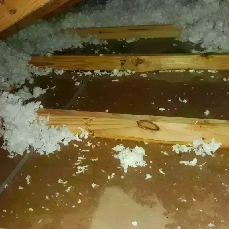 Attic Water Damage in Lakeview, NY